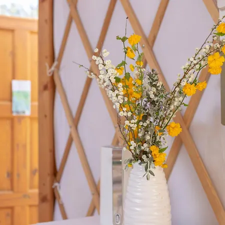 L.stile Glamping Campo de lujo *